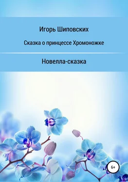 Игорь Шиповских Сказка о принцессе хромоножке обложка книги