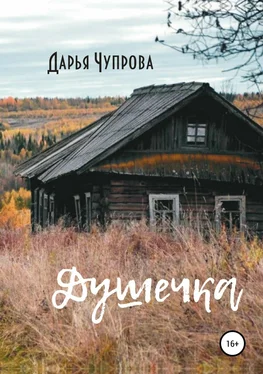 Дарья Чупрова Душечка обложка книги