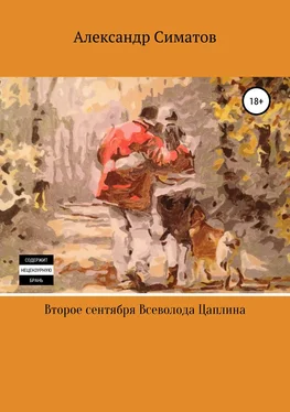 Александр Симатов Второе сентября Всеволода Цаплина обложка книги