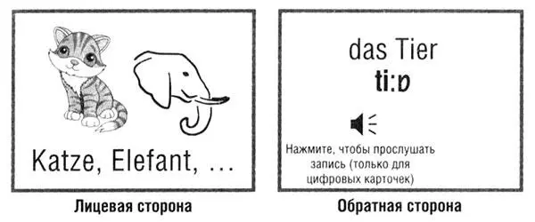 Откуда вам знать что Tier означает животное а не млекопитающее или - фото 49