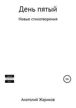 Анатолий Жариков День пятый обложка книги