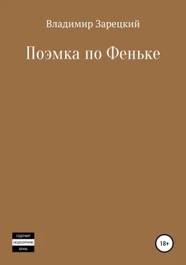 Владимир Зарецкий Поэмка по Феньке обложка книги