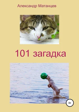 Александр Матанцев 101 загадка обложка книги