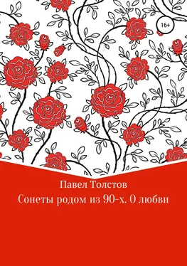Павел Толстов Сонеты родом из 90-х. О любви обложка книги