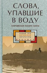 Коллектив авторов - Слова, упавшие в воду - современная поэзия Гуанси (сборник)