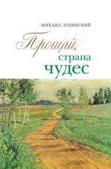 Михаил Лубянский - Прощай, страна чудес