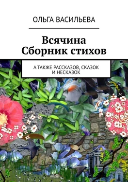 Ольга Васильева Всячина. Сборник стихов, а также рассказов, сказок и НЕсказок обложка книги