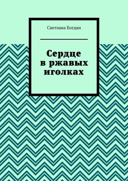 Светлана Богдан Сердце в ржавых иголках обложка книги