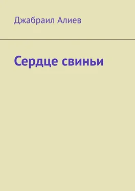 Джабраил Алиев Сердце свиньи обложка книги