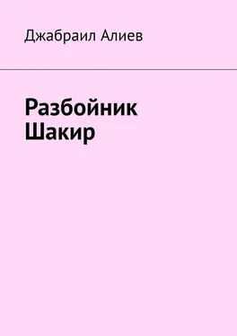 Джабраил Алиев Разбойник Шакир обложка книги