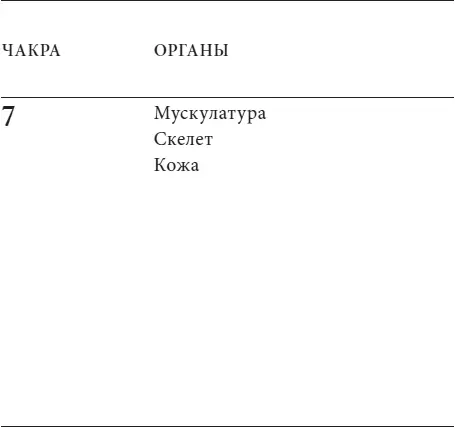 Глава первая Первая чакра родоплеменная сила Энергетическим содержимым - фото 12