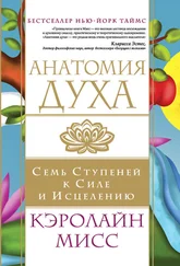 Кэролайн Мисс - Анатомия духа. Семь ступеней к силе и исцелению