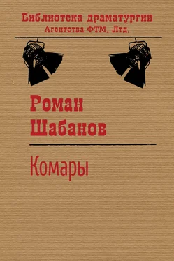 Роман Шабанов Комары обложка книги