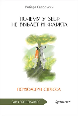 Роберт Сапольски Почему у зебр не бывает инфаркта. Психология стресса обложка книги