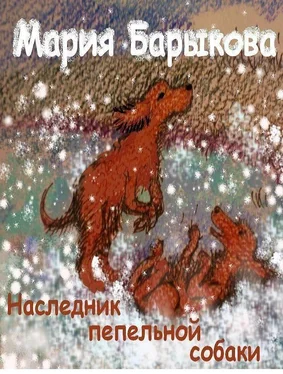 Мария Барыкова Наследник пепельной собаки обложка книги
