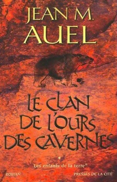 Jean Auel Le clan de l'ours des cavernes обложка книги