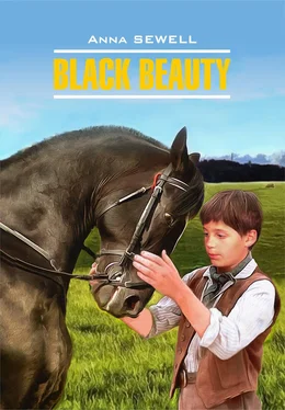 Анна Сьюэлл Black Beauty / Черный Красавец. Книга для чтения на английском языке обложка книги