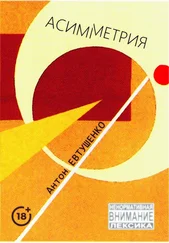 Антон Евтушенко - Асимметрия