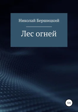 Николай Бершицкий Лес огней обложка книги