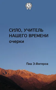 Пиа Е. Фигероа Сило. Учитель Нашего Времени (очерки) обложка книги