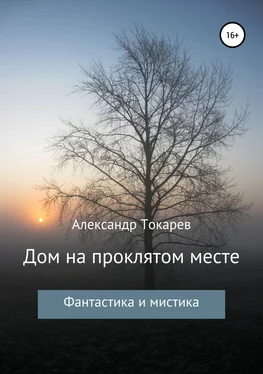 Александр Токарев Дом на проклятом месте обложка книги