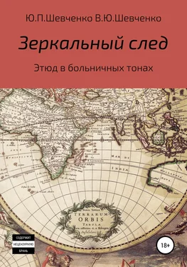 Юрий Шевченко Зеркальный след. Этюд в больничных тонах обложка книги