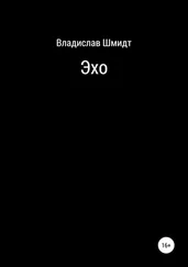 Владислав Шмидт - Эхо