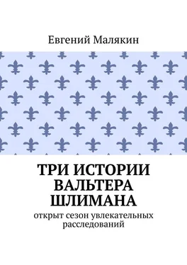 Евгений Малякин Три истории Вальтера Шлимана обложка книги