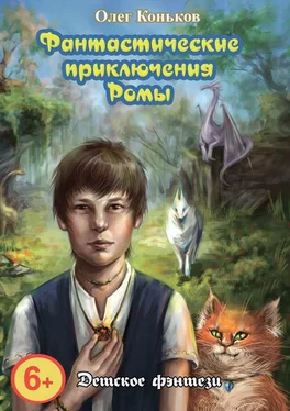 Олег Коньков Фантастические приключения Ромы обложка книги