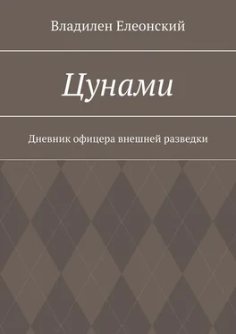 Владилен Елеонский Цунами. Дневник офицера внешней разведки обложка книги