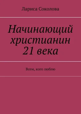 Лариса Соколова Начинающий христианин 21 века. Всем, кого люблю обложка книги