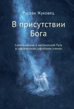 Руслан Жуковец В присутствии Бога. Самопознание и мистический Путь в современном суфийском учении обложка книги