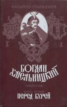 Михаил Старицкий Богдан Хмельницкий. Книга первая Перед бурей обложка книги