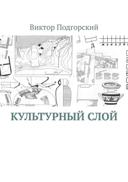 Виктор Подгорский Культурный слой обложка книги