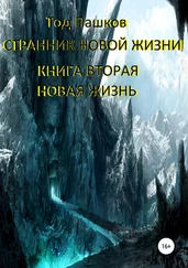 Тод Пашков - Странник новой жизни. Книга вторая. Новая жизнь