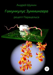 Андрей Шумин - Гомункулус Зуммингера. Рецепт Парацельса