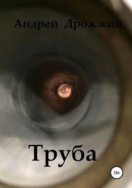 Андрей Дрожжин Труба обложка книги