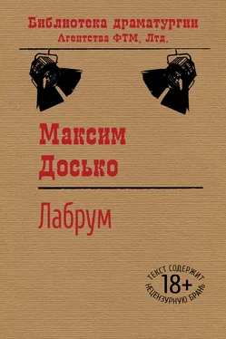 Максим Досько Лабрум обложка книги