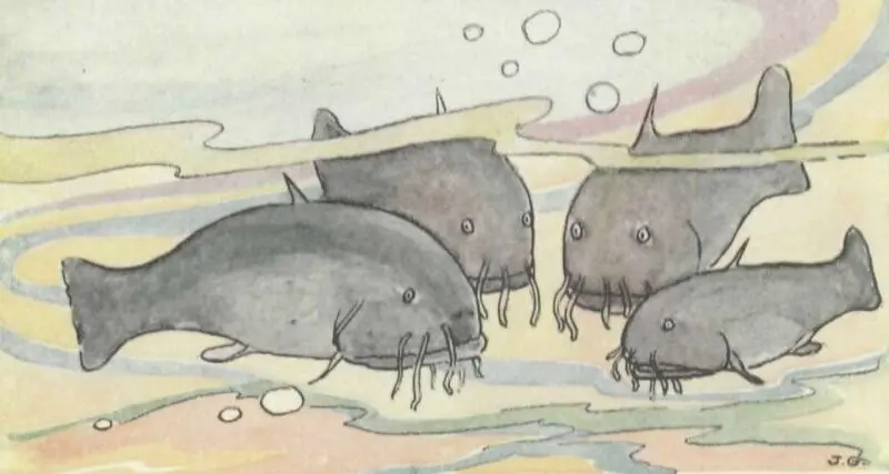 But when the catfish got by themselves and they thought there was no one else - фото 5