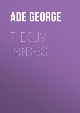 George Ade The Slim Princess обложка книги