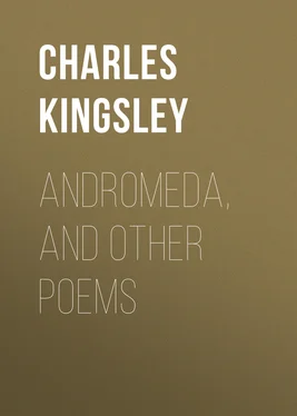 Charles Kingsley Andromeda, and Other Poems обложка книги