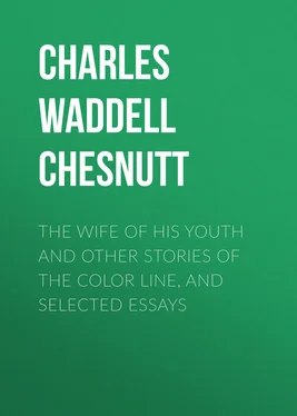 Charles Waddell Chesnutt The Wife of his Youth and Other Stories of the Color Line, and Selected Essays обложка книги