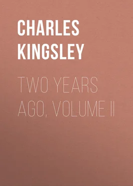 Charles Kingsley Two Years Ago, Volume II обложка книги
