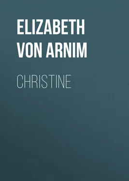 Elizabeth von Arnim Christine обложка книги