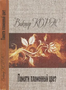 Викто Корж Памяти пламенный цвет обложка книги