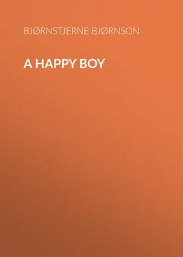 Bjørnstjerne Bjørnson A Happy Boy обложка книги
