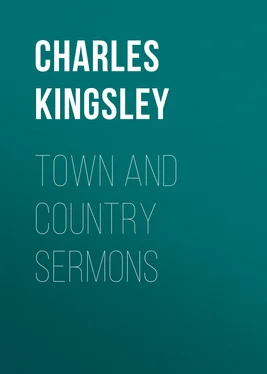 Charles Kingsley Town and Country Sermons обложка книги