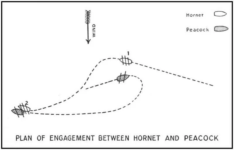 PLAN OF ENGAGEMENT BETWEEN HORNET AND PEACOCK The capture of the Peacock was - фото 2