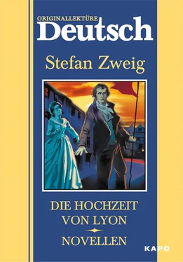 Стефан Цвейг Die hochzeit von Lyon. Novellen / Свадьба в Лионе. Новеллы. Книга для чтения на немецком языке обложка книги