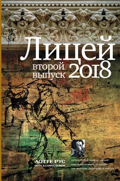 Андрей Фамицкий Лицей 2018. Второй выпуск обложка книги